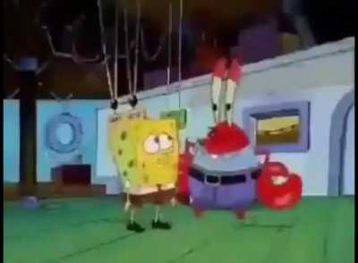 sponge