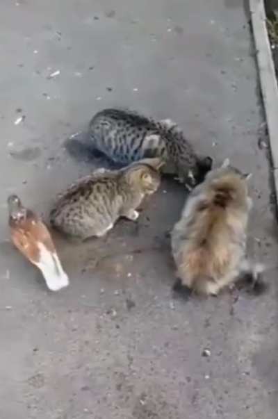 Maybe Maybe Maybe
