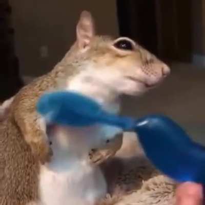 soothing scritches