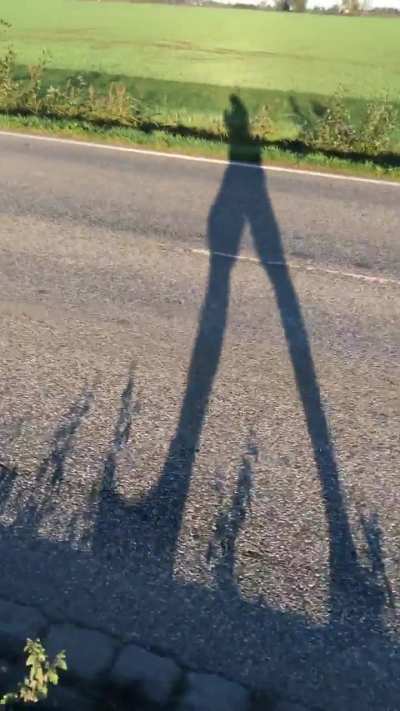 Just a morning walk