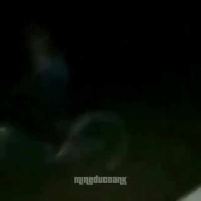 filho da pu