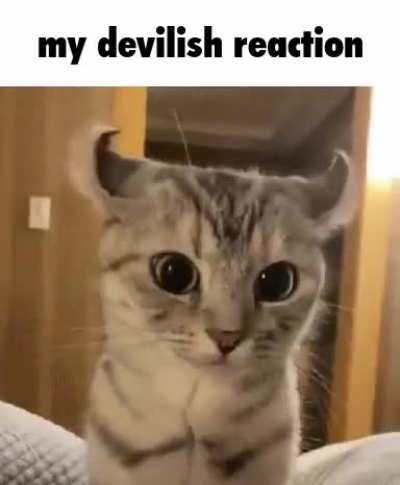 been feeling evil and malicious lately >:)