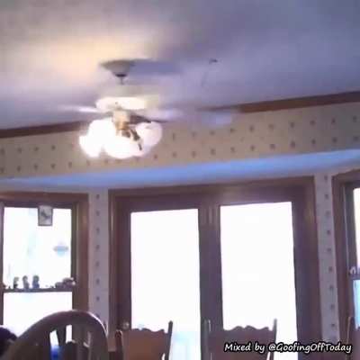 I'll just grab this thing through the spinning ceiling fan
