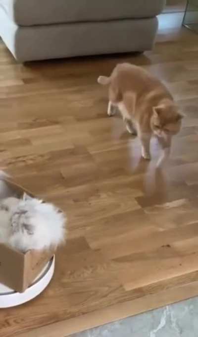 Поехали