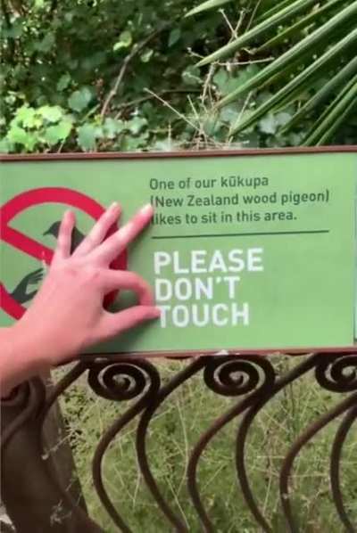 How dare you?