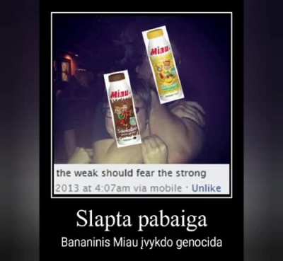 Visos Miau pabaigos tęsinys