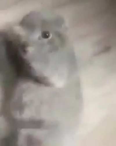 oh shit