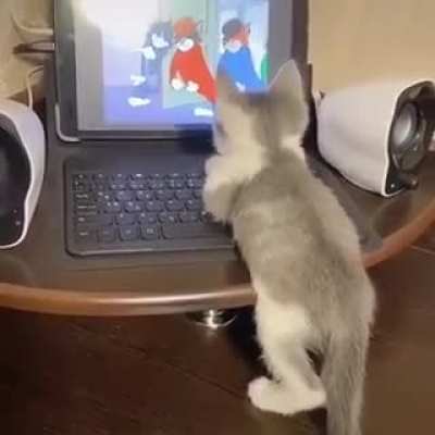 Tom & Jerry 😂