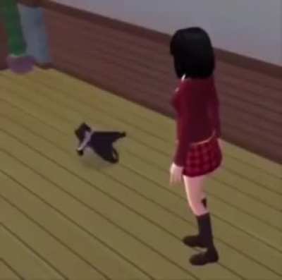 Today's the day, it's international cat day!