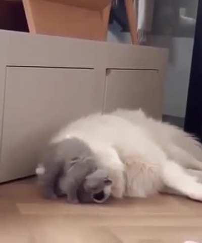 Fluffy bed 😊