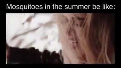 Easy, Adele, easy.