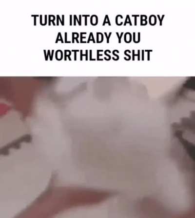 Rule