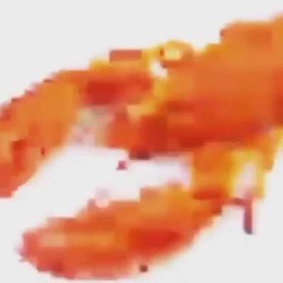 Lobster