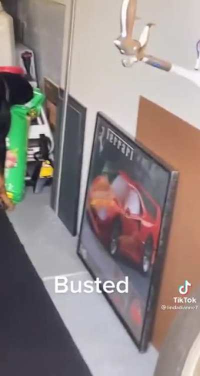 he didn‘t do nothing