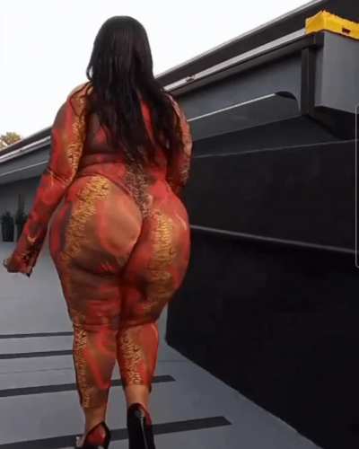 Donk