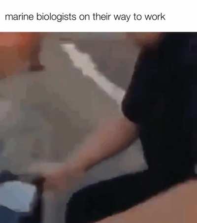 Rule 1
