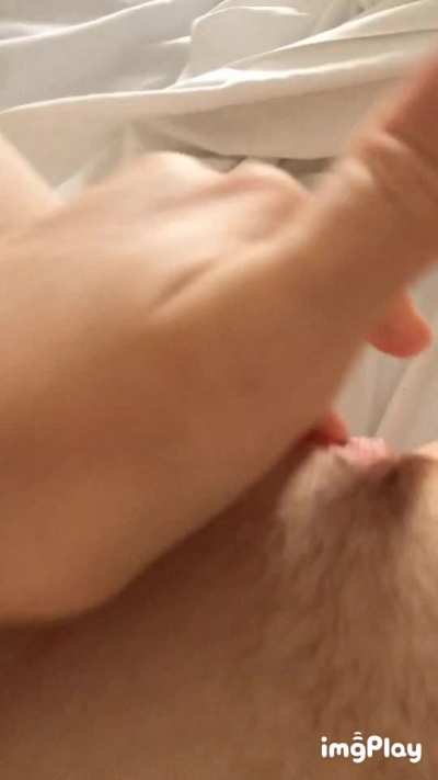 i'm horny