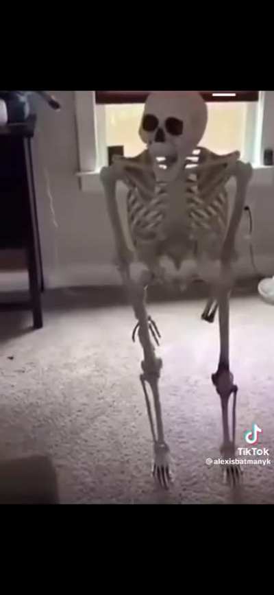 No Shit Sherlock