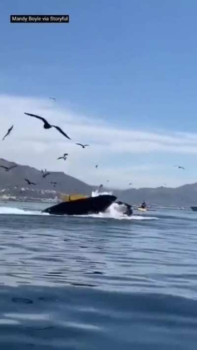 Nice day in the water