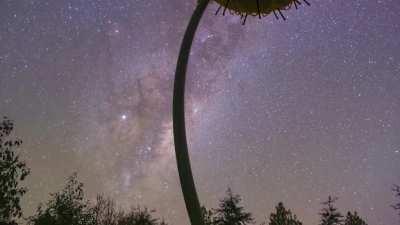 Space Covid Discovered in New Zealand (Bucket Sculpture)