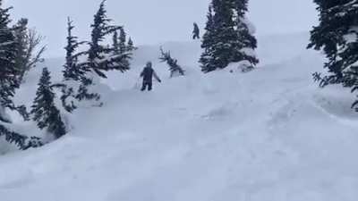 Skiing is fun!
