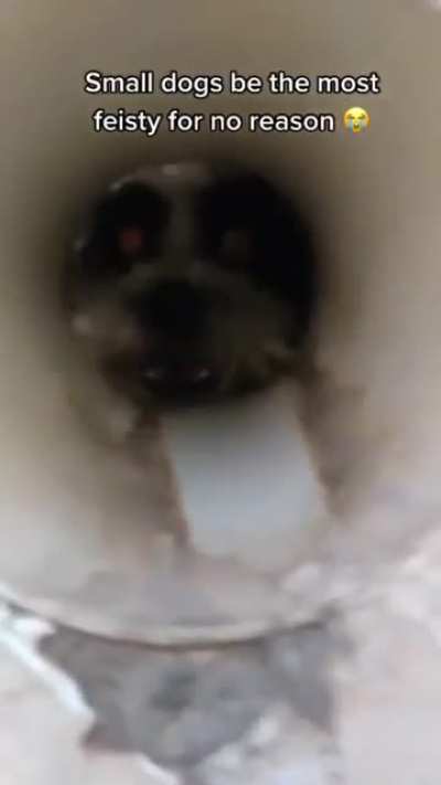 Cursed Glory Hole