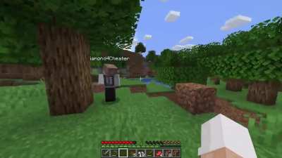 Found this on r/Minecraft