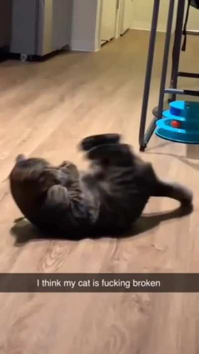 cat error 404