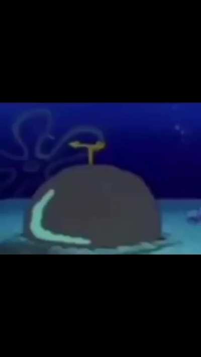 sponge