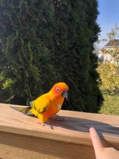 Happy boy outside