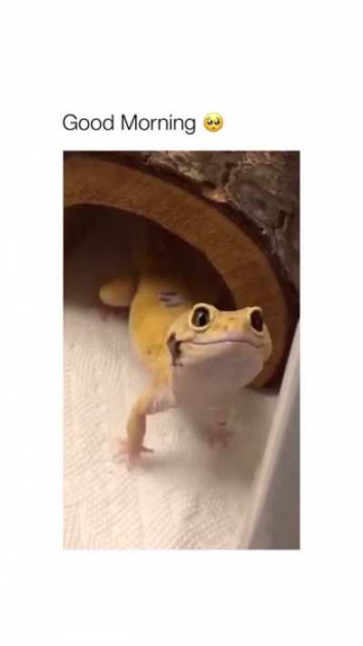 Look at that smile.