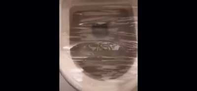 Perfectly cut gasp