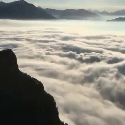 Flight of a lifetime
