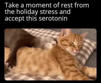 Best Friends right there