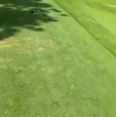 Golf is the best sport ever.