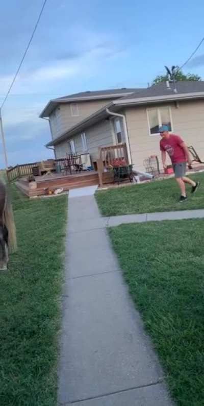 #mrgigglesfacts horses do not like anything from behind :)