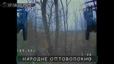 Ukraine's 