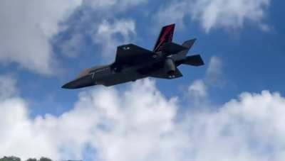 Realistic RC F-35 takes off vertically