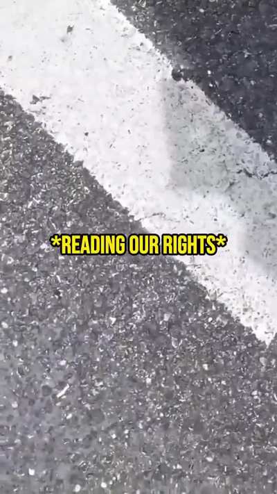 Tiktoker vandalizes cars and wastes police's time for prank and views