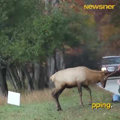 What started as a fascinating encounter would soon turn out to be a terrifying experience 😱