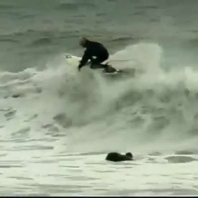 Tiago Bianchini