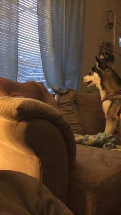 Old lady got tired of the puppy wanting to play