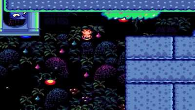 cursed_level
