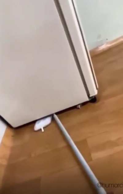 Don’t watch this standing up