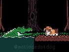 The Adventures of Crawdad Corgi (🎧 Sound ON!)