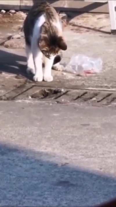 Охотник