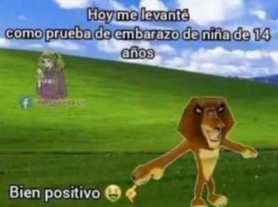 Bien Positivo 🤑