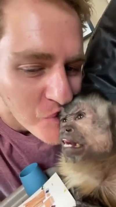 chrunche monke