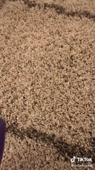 The bug rug