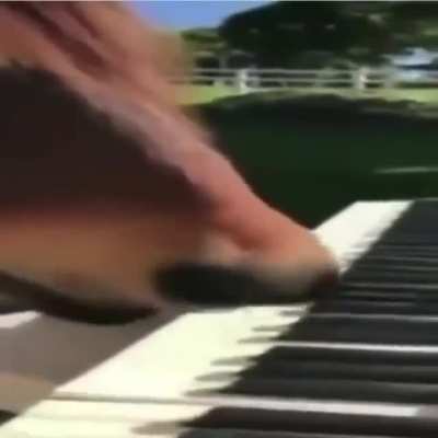 Bethoven Who?